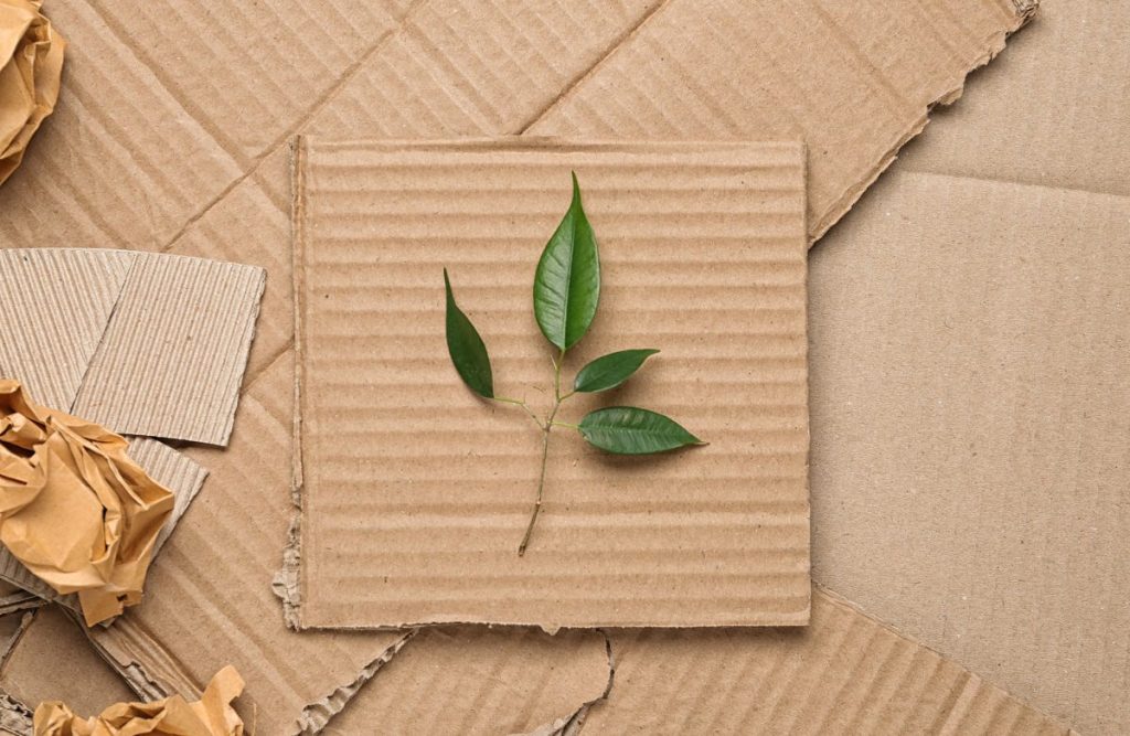 Unpacking eco excellence: Assessing sustainable packaging impact on consumers